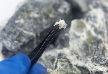 A macro photograph of fibers of the mineral chrysotile asbestos taken from host rock with tweezers