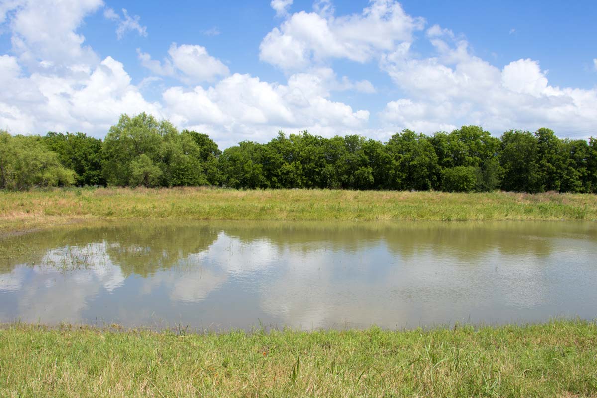 a storm water basin surrounded by grass and trees